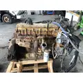 CAT 3126 Engine Assembly thumbnail 8