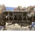 CAT 3126 Engine Assembly thumbnail 10