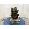 CAT 3126 Engine Assembly thumbnail 9