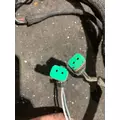CAT 3126 Engine Assembly thumbnail 3