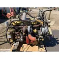CAT 3176 Engine Assembly thumbnail 3