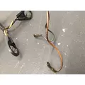 CAT 3176 Engine Wiring Harness thumbnail 3
