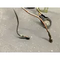 CAT 3176 Engine Wiring Harness thumbnail 7