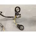CAT 3176 Engine Wiring Harness thumbnail 8
