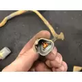 CAT 3176 Engine Wiring Harness thumbnail 7