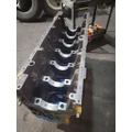 CAT 3406E 14.6L Engine Assembly thumbnail 20