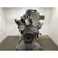 CAT 3406E 14.6L Engine Assembly thumbnail 2