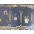 CAT C-10 Engine Assembly thumbnail 2