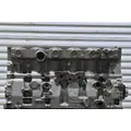 CAT C-12 Engine Assembly thumbnail 3