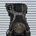 CAT C-12 Engine Assembly thumbnail 7