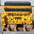 CAT C-13 Engine Assembly thumbnail 3