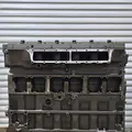 CAT C-7 Engine Assembly thumbnail 2