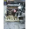 CAT C-7 Engine Assembly thumbnail 2