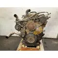 CAT C12 Engine Assembly thumbnail 2