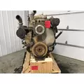 CAT C12 Engine Assembly thumbnail 2
