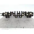 CAT C13 400 HP AND ABOVE CRANKSHAFT thumbnail 3