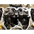 CAT C15 Engine Assembly thumbnail 8
