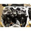 CAT C15 Engine Assembly thumbnail 9