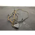 CAT C15 Engine Wiring Harness thumbnail 2