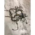 CAT C15 Engine Wiring Harness thumbnail 2