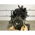 CAT C6.6 Engine Assembly thumbnail 4