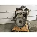 CAT CT13 Engine Assembly thumbnail 4