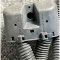 CAT  Engine Wiring Harness thumbnail 5