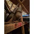 CHEVROLET C4500 Radiator Shroud thumbnail 3