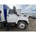 CHEVROLET C6500 Door Assembly, Front thumbnail 1