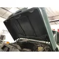 CHEVROLET C6 Hood thumbnail 5