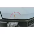 CHEVROLET EXPRESS 2500 HOOD thumbnail 3