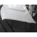 CHEVROLET EXPRESS 2500 HOOD thumbnail 7