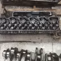 CUMMINS 5.9B Cylinder Head thumbnail 6