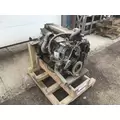 CUMMINS 5.9B Engine Assembly thumbnail 15