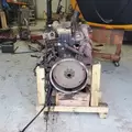 CUMMINS 5.9B Engine Assembly thumbnail 8