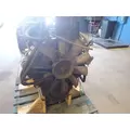 CUMMINS 5.9 Engine Assembly thumbnail 3