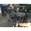 CUMMINS 555 Engine Assembly thumbnail 3