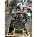 CUMMINS 555 Engine Assembly thumbnail 4