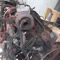 CUMMINS 6.7-07 Engine Assembly thumbnail 15