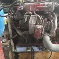 CUMMINS 6.7-10 Engine Assembly thumbnail 16