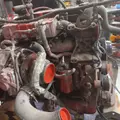 CUMMINS 6.7-10 Engine Assembly thumbnail 17