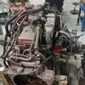 CUMMINS 6.7-10 Engine Assembly thumbnail 8