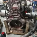 CUMMINS 6.7-10 Engine Assembly thumbnail 9