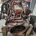 CUMMINS 6.7-10 Engine Assembly thumbnail 11