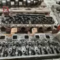 CUMMINS 6.7ISB Cylinder Head thumbnail 6