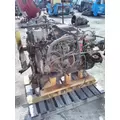 CUMMINS 6BTA 2063 ENGINE ASSEMBLY thumbnail 4