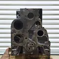 CUMMINS 6BT Engine Assembly thumbnail 5