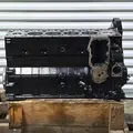 CUMMINS 6BT Engine Assembly thumbnail 4