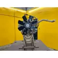 CUMMINS 6BT Engine Assembly thumbnail 6