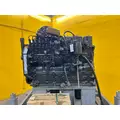 CUMMINS 6BT Engine Assembly thumbnail 6